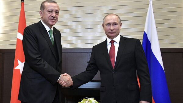 Russian President Vladimir Putin during a meeting with Turkish counterpart Recep Tayyip Erdogan in Sochi on May 3, 2017, left - Sputnik International