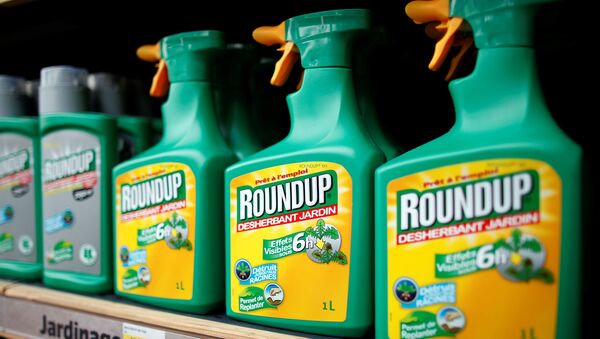 Monsanto's Roundup weedkiller atomizers are displayed for sale at a garden shop at Bonneuil-Sur-Marne near Paris, France, June 16, 2015. - Sputnik International