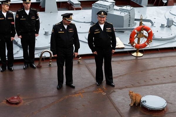 Sergei Ivanovich the cat among the men aboard the Russian guided missile cruiser Moskva. Sergei Ivanovich the cat among the men aboard the Russian guided missile cruiser Moskva. - Sputnik International