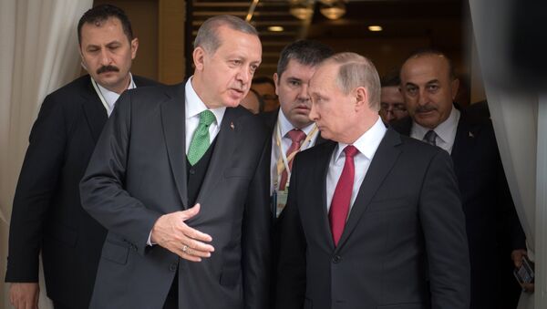 President Vladimir Putin meets with President of Turkey Recep Tayyip Erdogan - Sputnik International