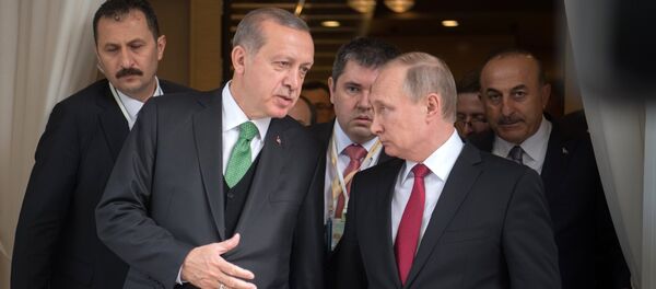 President Vladimir Putin meets with President of Turkey Recep Tayyip Erdogan President Vladimir Putin meets with President of Turkey Recep Tayyip Erdogan - Sputnik International