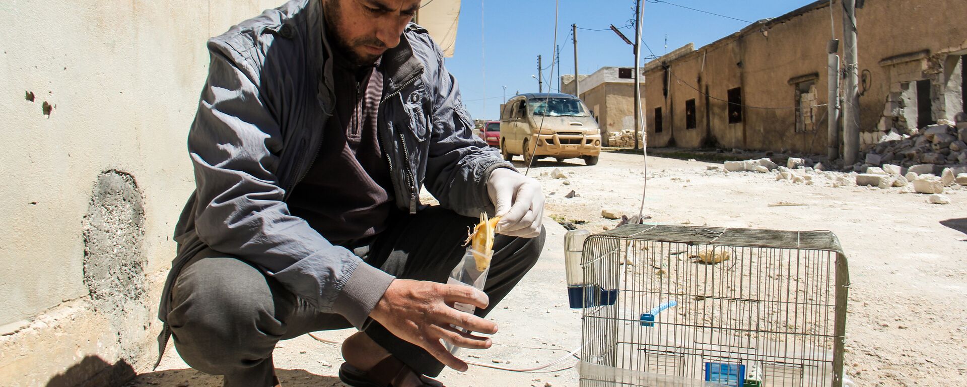A Syrian man collects and bags the body of a dead bird, reportedly killed by a suspected toxic gas attack in Khan Sheikhun, in Syria’s northwestern Idlib province, on April 5, 2017 - Sputnik International, 1920, 13.10.2017