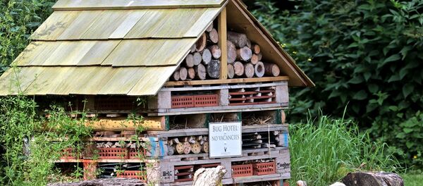 Hotel for insects Hotel for insects - Sputnik International