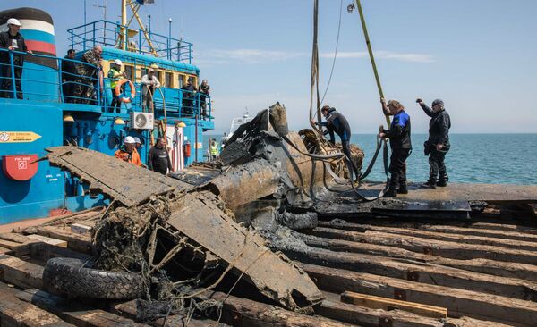 The recovered P-40 - Sputnik International