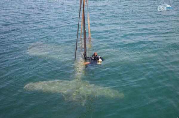 The recovered P-40 - Sputnik International