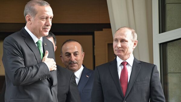 Vladimir Putin meets with Turkish president Recep Tayyip Erdogan - Sputnik International