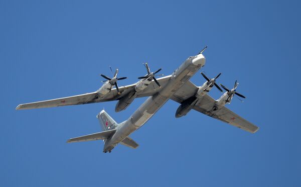 A Tupolev Tu-95MS Bear strategic bomber - Sputnik International