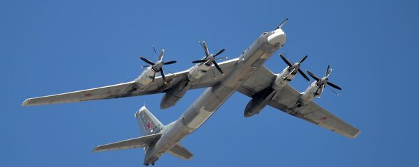 A Tupolev Tu-95MS Bear strategic bomber - Sputnik International