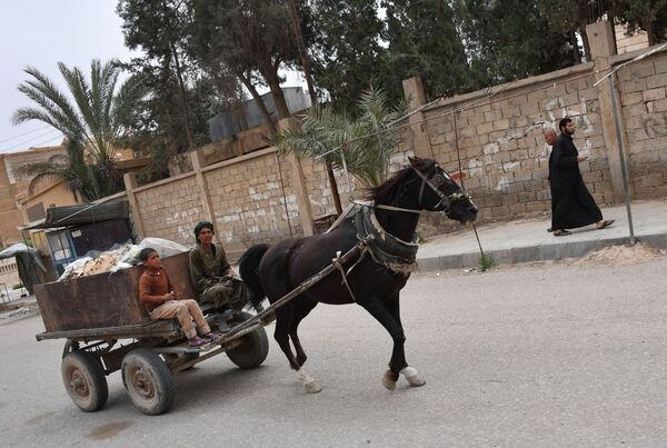 People on a wooden cart in Deir ez-Zor, Syria. People on a wooden cart in Deir ez-Zor, Syria. - Sputnik International