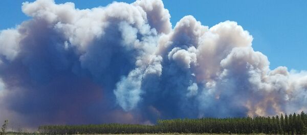 Wildfire national refugee Wildfire national refugee - Sputnik International