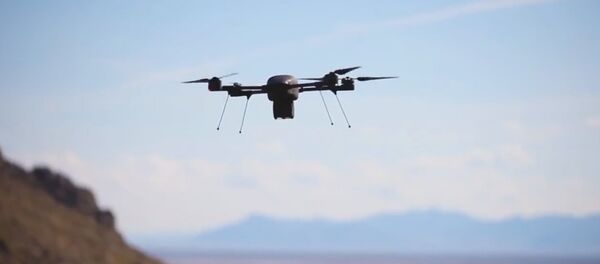 Indago UAS Indago UAS - Sputnik International