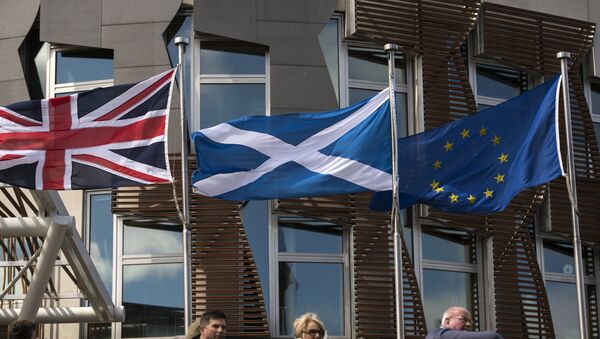 A Scottish Saltire (C) flies between a Union flag (L) and a European Union (EU) flag in front of the Scottish Parliament building in Edinburgh, Scotland on June 27, 2016. - Sputnik International