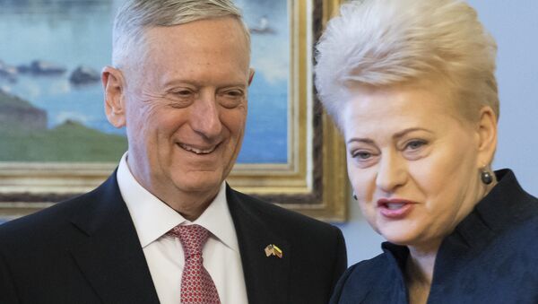 US Secretary Secretary of Defense James Mattis and Lithuanian President Dalia Grybauskaite - Sputnik International
