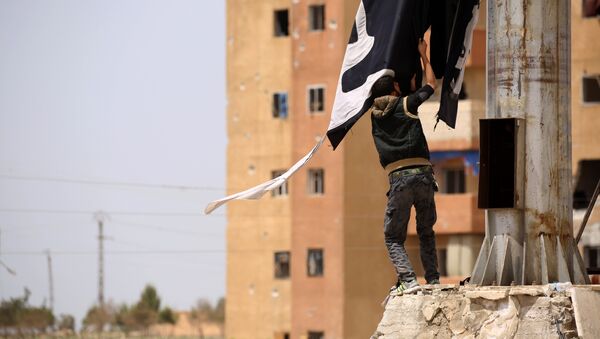 A member of the US-backed Syrian Democratic Forces (SDF), made up of an alliance of Arab and Kurdish fighters, removes an Islamic State group flag in the town of Tabqa, about 55 kilometres (35 miles) west of Raqa city, on April 30, 2017, as they advance in their battle for the group's de facto capital - Sputnik International