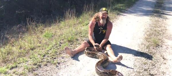 Python Hunter Python Hunter - Sputnik International