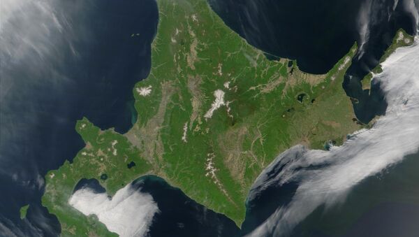 Satellite image of Hokkaido, Japan - Sputnik International