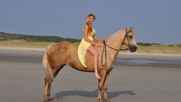 Horse riding - Sputnik International
