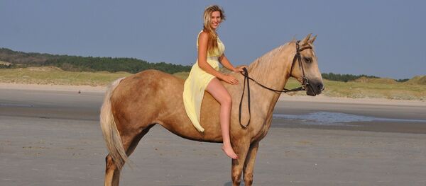 Horse riding Horse riding - Sputnik International