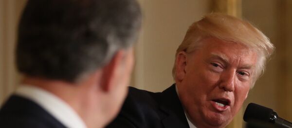 US President Donald Trump US President Donald Trump - Sputnik International