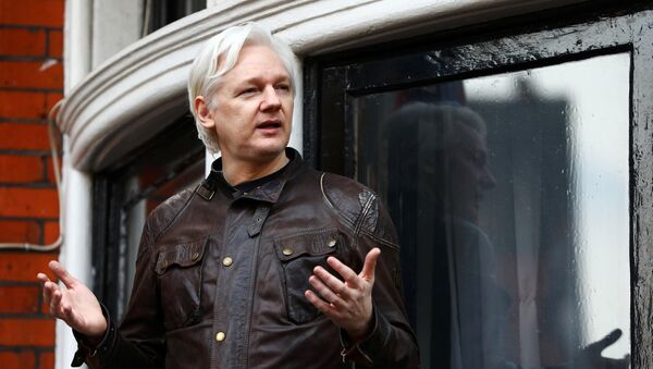 WikiLeaks founder Julian Assange is seen on the balcony of the Ecuadorian Embassy in London, Britain, May 19, 2017 - Sputnik International