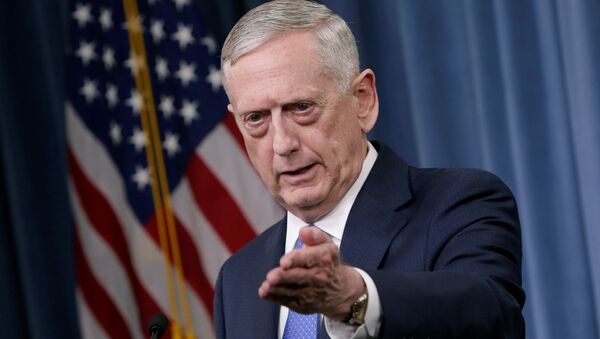 US Defense Secretary James Mattis gestures during a press briefing on the campaign to defeat ISIS at the Pentagon in Washington, 19 May 2017 - Sputnik International