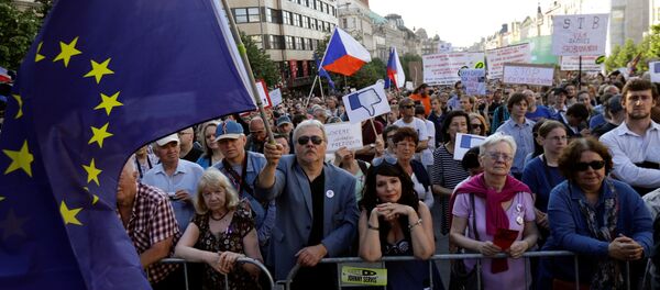 Demonstrators attend a protest rally against Czech Finance Minister Andrej Babis and President Milos Zeman in Prague, Czech Republic, May 17, 2017 Demonstrators attend a protest rally against Czech Finance Minister Andrej Babis and President Milos Zeman in Prague, Czech Republic, May 17, 2017 - Sputnik International