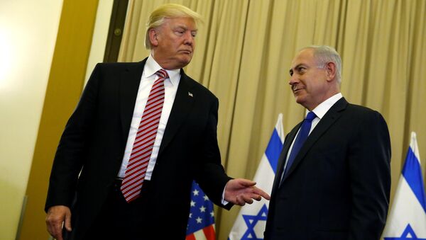 U.S. President Donald Trump (L) and Israel's Prime Minister Benjamin Netanyahu speak to reporters before their meeting at the King David Hotel in Jerusalem May 22, 2017 - Sputnik International