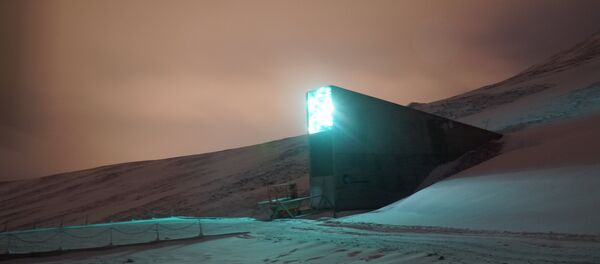 Global Seed Vault in Svalbard, Norway Global Seed Vault in Svalbard, Norway - Sputnik International