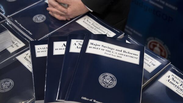Copies of US President Donald Trump's Fiscal Year 2018 budget are released for distribution on Capitol Hill in Washington, DC - Sputnik International