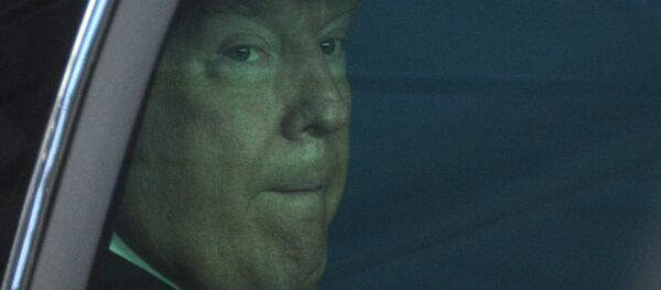 US President Donald Trump after a meeting with EU leaders in Brussels US President Donald Trump after a meeting with EU leaders in Brussels - Sputnik International