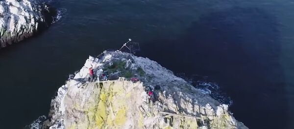 Humpback Whales Near Shores Of Kamchatka - Sputnik International