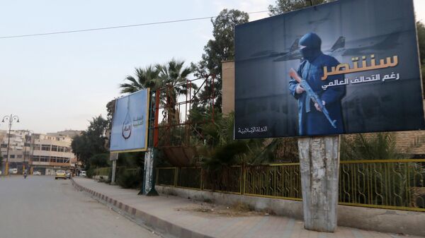 Islamic State billboards are seen along a street in Raqqa, eastern Syria. The billboard (R) reads: We will win despite the global coalition (File) - Sputnik International