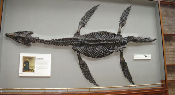 Pliosaur Pliosaur - Sputnik International