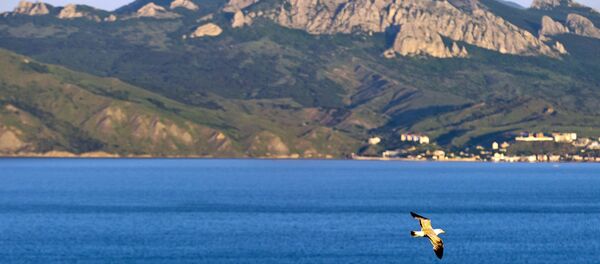 Karadag nature reserve in Crimea Karadag nature reserve in Crimea - Sputnik International