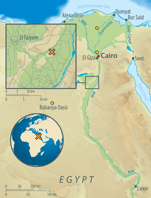 Map of Egypt, showing the archaeological site of Abusir-el Meleq (orange X), and the location of the modern Egyptian samples used in the study (orange circles). Map of Egypt, showing the archaeological site of Abusir-el Meleq (orange X), and the location of the modern Egyptian samples used in the study (orange circles). - Sputnik International