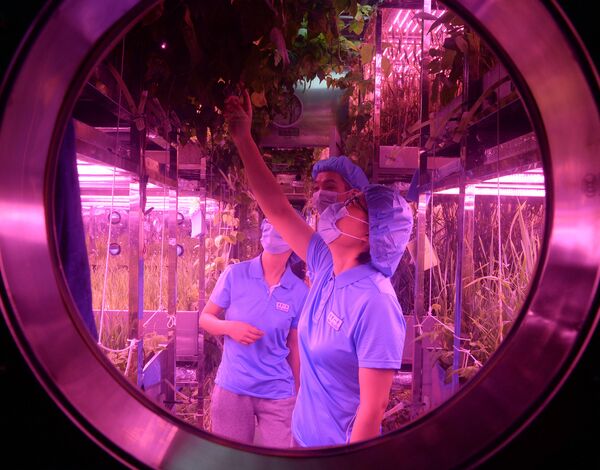 Student volunteers are seen inside the Lunar Palace 1, a laboratory simulating a lunar-like environment, in Beijing on May 10, 2017. - Sputnik International