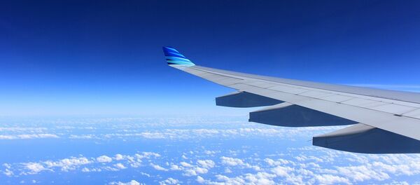Wing of plane Wing of plane - Sputnik International