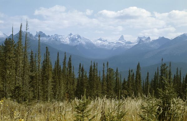 Yergaki range in the West Sayany mountain range, southern Siberia. (File) Yergaki range in the West Sayany mountain range, southern Siberia. (File) - Sputnik International