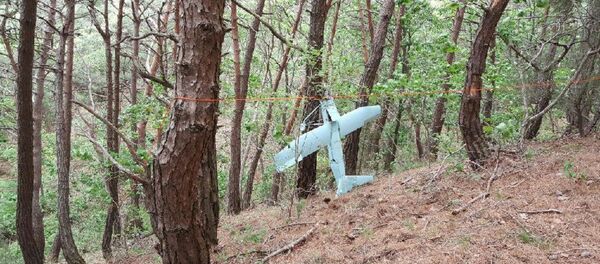 Suspected North Korean Drone Near the De-Militarized Zone in South Korea - Sputnik International