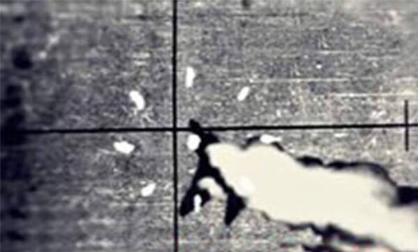 ‘Enemies Will Conclude Israel is Weak’: Docs Reveal Panic in Israeli Command During Yom Kippur War ‘Enemies Will Conclude Israel is Weak’: Docs Reveal Panic in Israeli Command During Yom Kippur War - Sputnik International