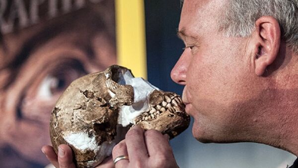 Fossils found outside of Johannesburg - Sputnik International