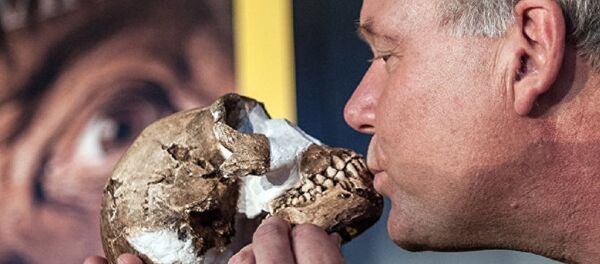 Fossils found outside of Johannesburg - Sputnik International