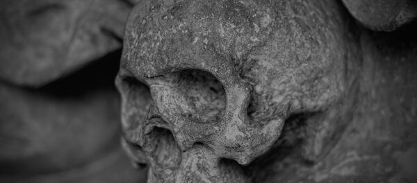 Skull Skull - Sputnik International