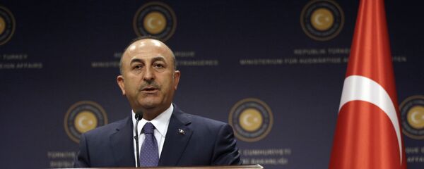 Turkey's Foreign Minister Mevlut Cavusoglu speaks during a joint news conference with German Foreign Minister Sigmar Gabriel in Ankara, Turkey, Monday, June 5, 2017 Turkey's Foreign Minister Mevlut Cavusoglu speaks during a joint news conference with German Foreign Minister Sigmar Gabriel in Ankara, Turkey, Monday, June 5, 2017 - Sputnik International