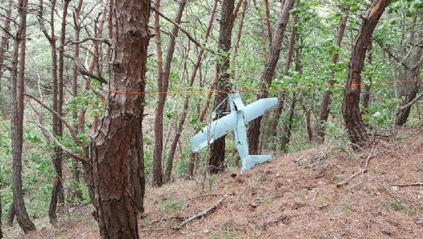 A small aircraft what South Korea's Military said is believed to be a North Korean drone, is seen at a mountain near the demilitarised zone separating the two Koreas in Inje, South Korea in this handout picture provided by the Defence Ministry and released by News1 on June 9, 2017 - Sputnik International