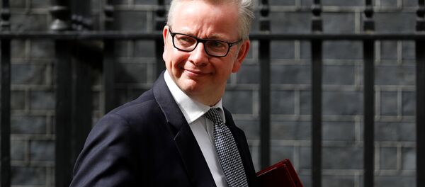Britain's Secretary of State for Environment, Food and Rural Affairs Michael Gove leaves a cabinet meeting at Downing Street in London,12 June 2017 Britain's Secretary of State for Environment, Food and Rural Affairs Michael Gove leaves a cabinet meeting at Downing Street in London,12 June 2017 - Sputnik International