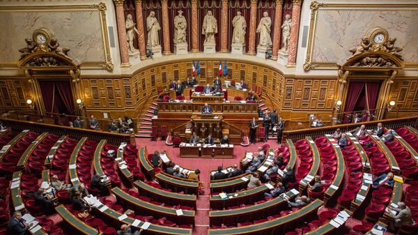 The French Senate (the upper chamber of the Parliament) - Sputnik International