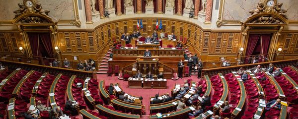 The French Senate (the upper chamber of the Parliament) - Sputnik International