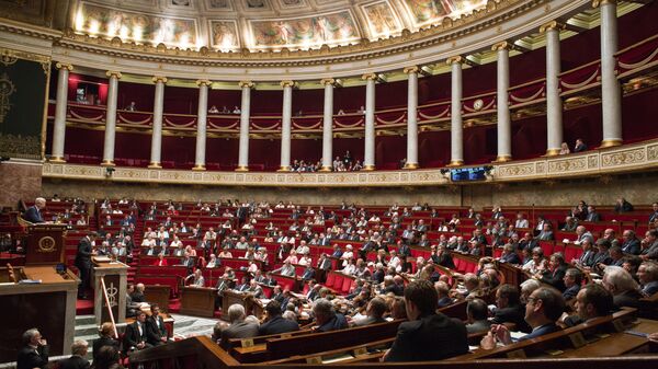 A meeting of the National Assembly (lower house of parliament) in France - Sputnik International