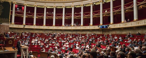 A meeting of the National Assembly (lower house of parliament) in France A meeting of the National Assembly (lower house of parliament) in France - Sputnik International